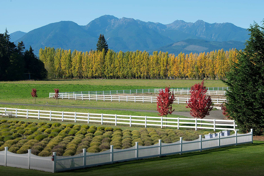 Fall at George Washington Inn