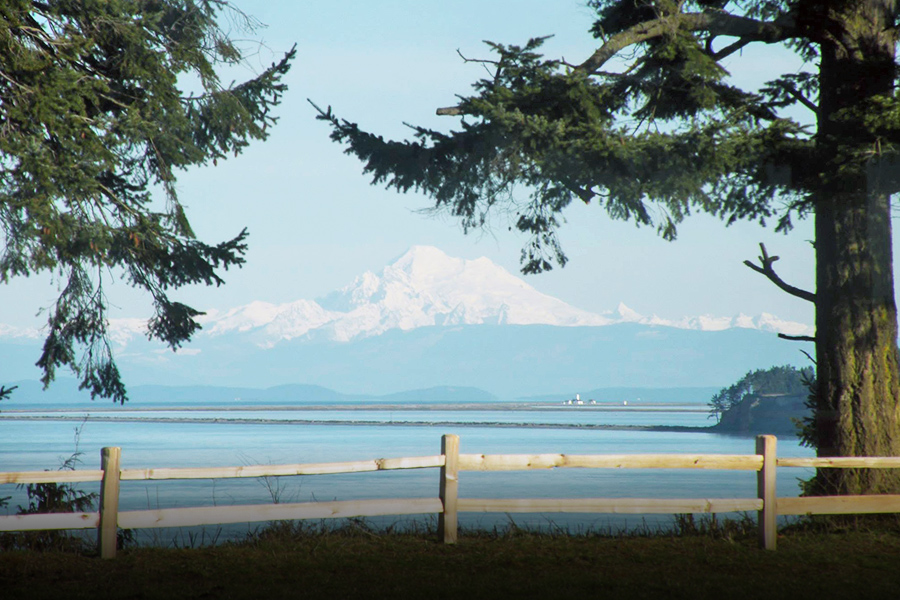 Mount Baker from Inn