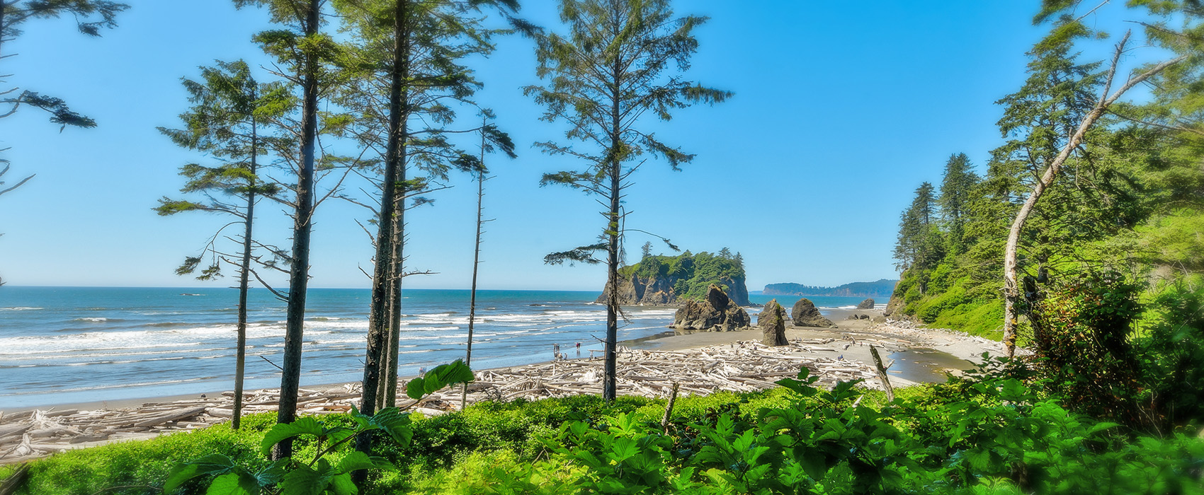 Ruby Beach near Forks