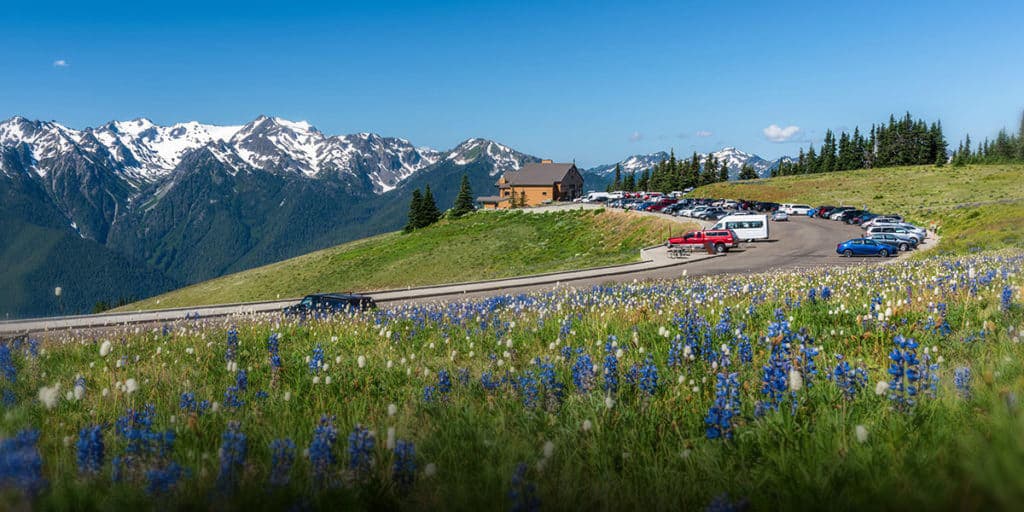 Hurricane Ridge