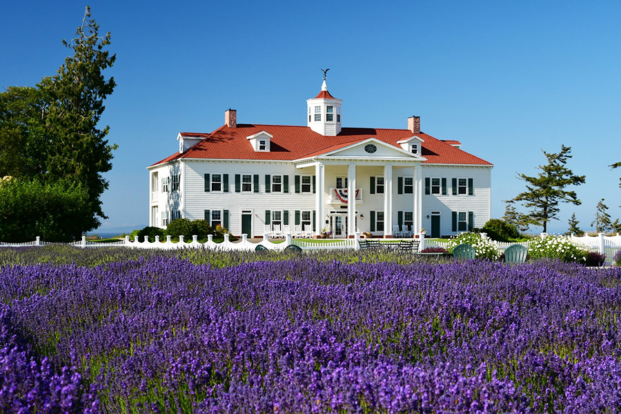 George Washington Sequim Lavender Farm