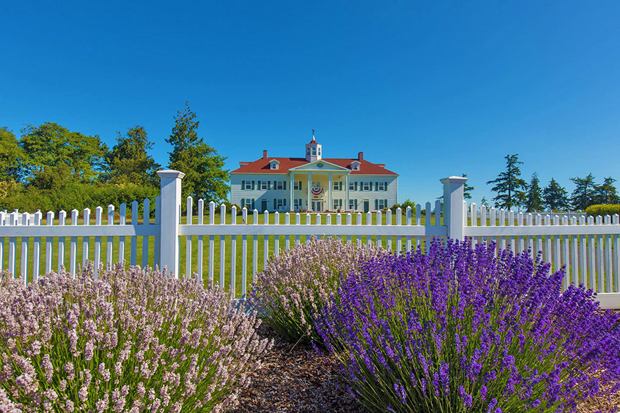 Sequim Lavender at GWI