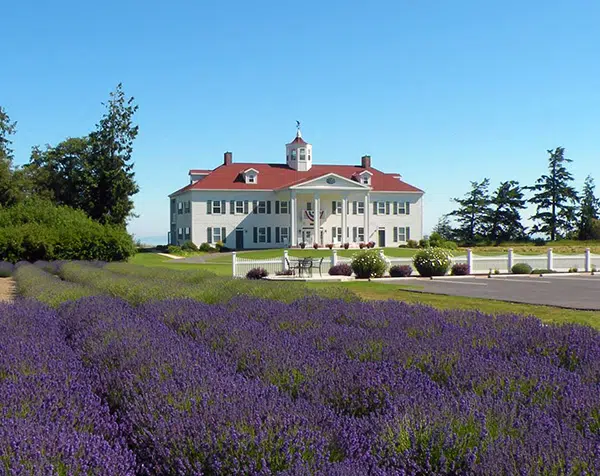 Inn and lavender at our Port Angeles B&B