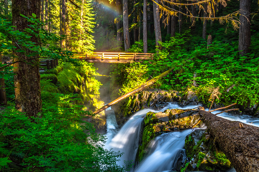 Sol Duc Falls