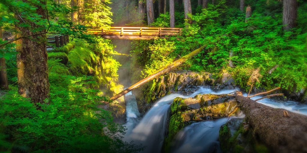 Sol Duc Falls in ONP