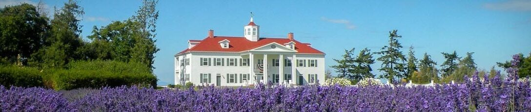 Lavender Farm, George Washington Inn